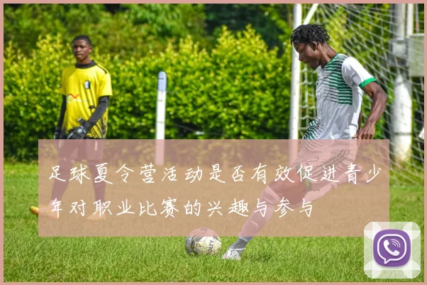 足球夏令营活动是否有效促进青少年对职业比赛的兴趣与参与